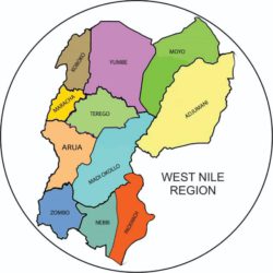 voice of West NIle