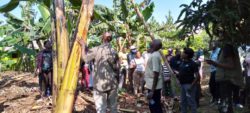 Participants Tour Biizi Agro-Farm