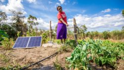 lighting-global-solar-woman-agriculture-