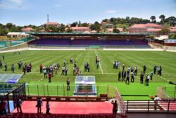 vipers_stadium_turf-1024x682