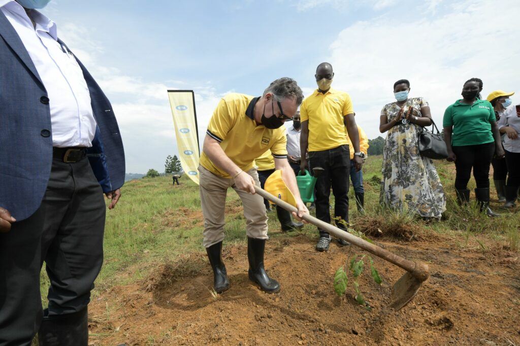 MTN Uganda CEO Wim Vanhelleputte replanting a tree in Kyewaga forest