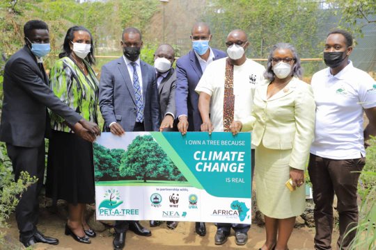 State minister for Tourism together with stakeholders after planting ‘Pet trees’