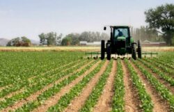 agriculturefarm