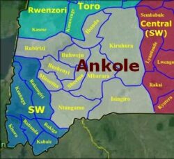 Ankole