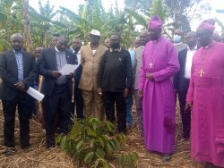 Archbishop Kazimba at Coffee gardens in Rutoma Archdeaco