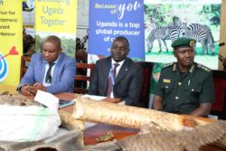 Commissioner Customs Abel Kagumire (Middle), Charles Tumwesigye_ Deputy Director Field Operations at UWA (R) and Asst. Commissioner Enforcement Julius Nkwasire (L) speaking to Journalists on Tuesday