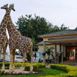 UWEC @70: Regional Wildlife Centers to be established