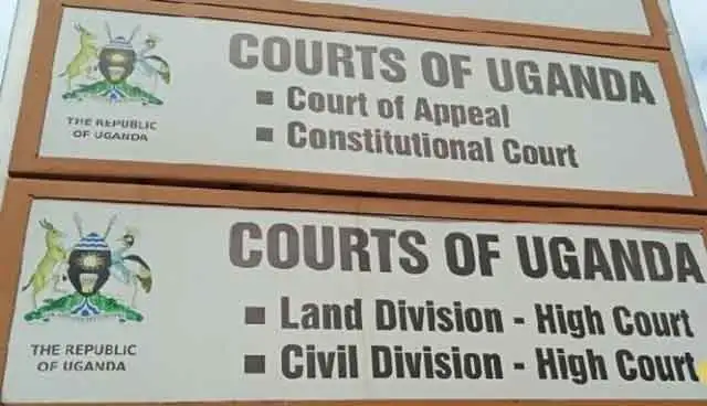 Court-of-appeal