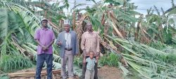 some leaders and residents on a plantation that was destroyed