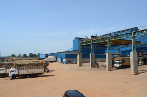 20220624_193932-800x530