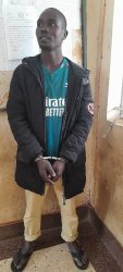 the suspect