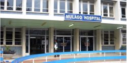 mulago-new