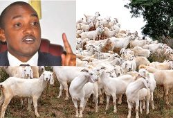 2012-4-largeimg210-Apr-2012-113503570