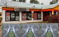 Base seven company offices