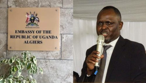 IMG-20241020-WA03672