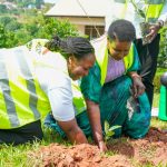 GO GREEN DRIVE! Equity Bank, My Tree Initiative Take Climate Battle to Mpigi