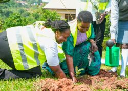 Equity Banks Virginia Ssemakula and Mawokota North MP Amelia Kyambadde planting a tree at the school