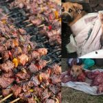 MUCHOMO LOVERS BEWARE! Police Rescue 48 Dogs, Seize ‘Goat Meat’ Carcasses Bound for Mityana–Mubende Roadside Roasters