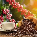 COFFEE KING! Young Brazilian Farmer Rewrites the Rules of Coffee Production, Lessons for Uganda