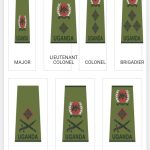 PROMOTION BONANZA! Gen M7 Elevates 384 Updf Officers, Confirms 83 Ranks…Full List Here