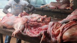 Meat