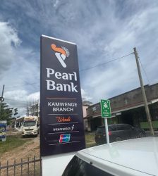 Pearl-bank-year