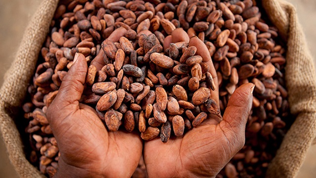 cocoa