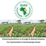 DROUGHT RESCUE PROJECT UNDER FIRE! Probe  Exposes Funding Crunch, Missed Targets in IGAD’s DRESS-EA Programme