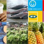 INFLATION PAIN! Matooke, Mangoes, Pineapples & Communication Costs Push Prices Up — UBOS