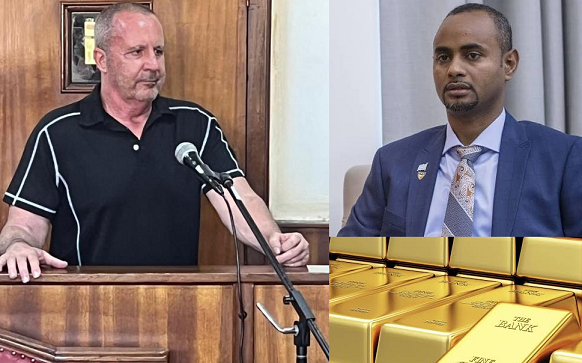 64 Year Old Canadian National who was sent to prison over a bogus gold deal