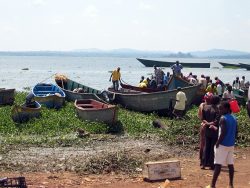 Ugandan_fishing_boats