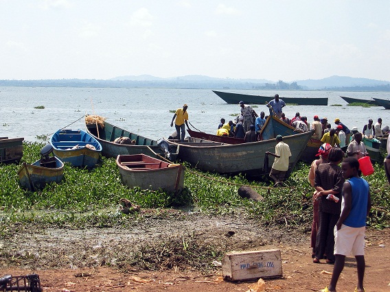 Ugandan_fishing_boats