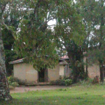 KING OYO BURIAL RITES BEGIN! Grave Preparations, Rituals Underway at Royal Grounds
