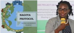 nagoya-protocol