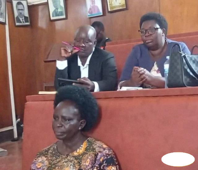 Lira RDC Lillian Eya in the fore front and the Lira PDM focal Point Person Michael Okello seated behind Eyal during the meeting