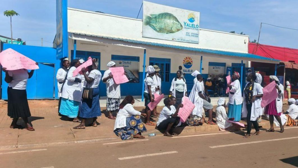Some of the Fish Vendors hold placards in protest at Yalelo Gulu City Store in Gulu City on September 21 2026. Courtesy Photo (Moses Komakech)