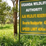 UWA IMPUNITY! Trigger-Happy Rangers Kill 32-year-old Woman in Ajai Reserve