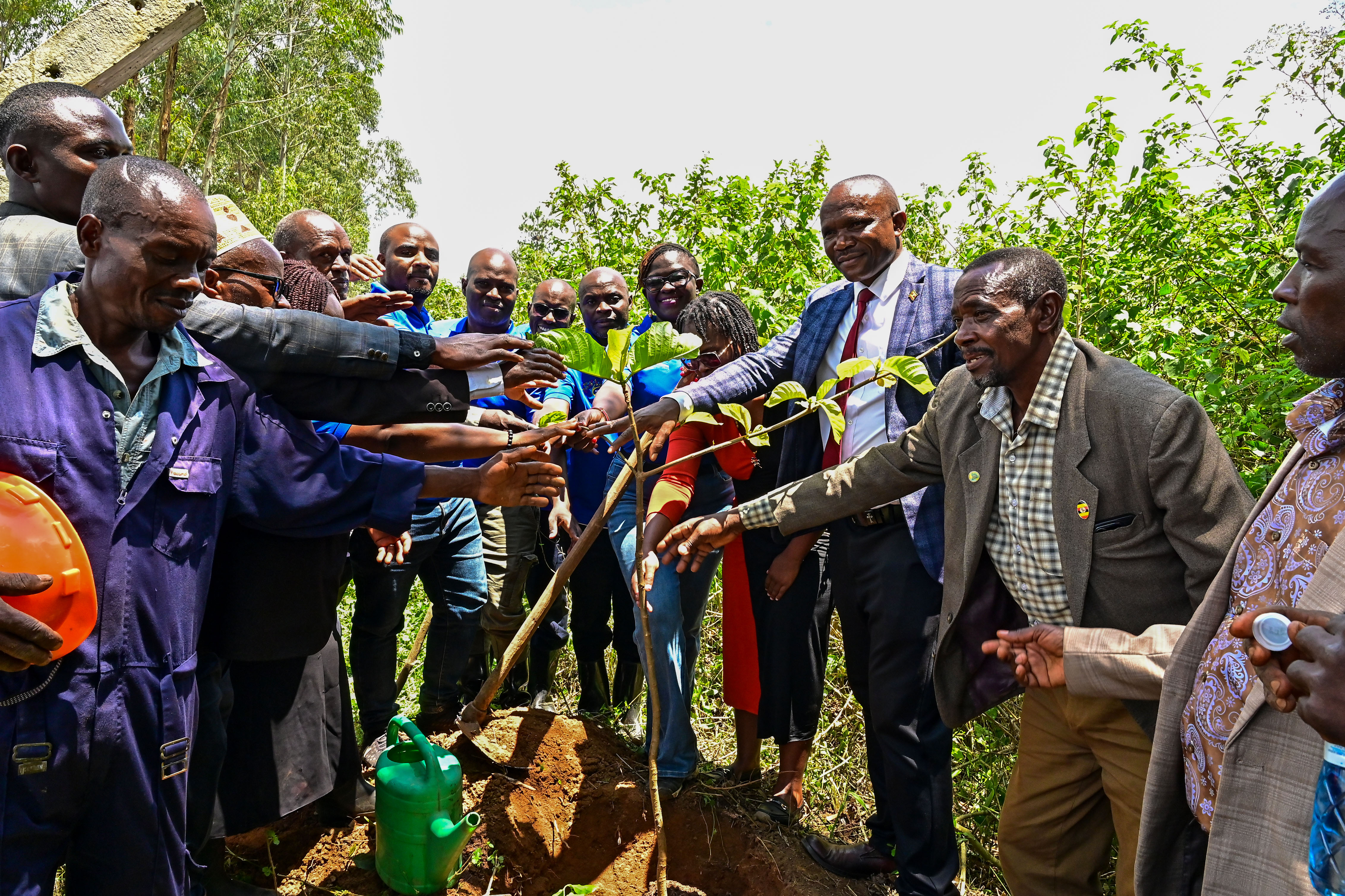 Different Stakeholders pose for photo while planting a tree at Manwa Local Forest Reserve in Masaka recently