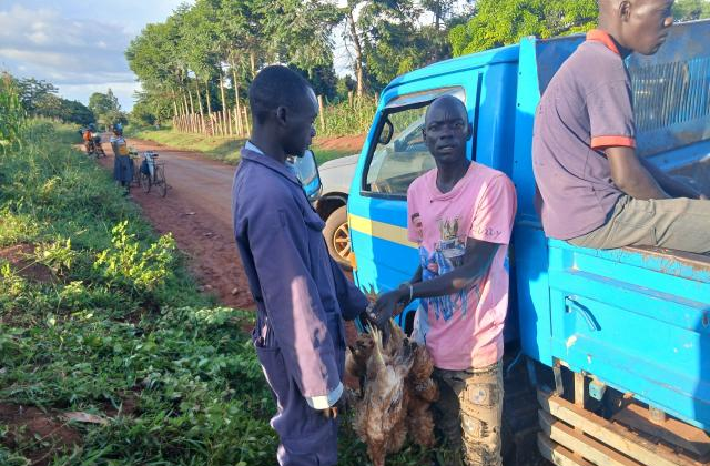The suspects during their Arrest in Otwee B Village . Photo by Ambrose Okai